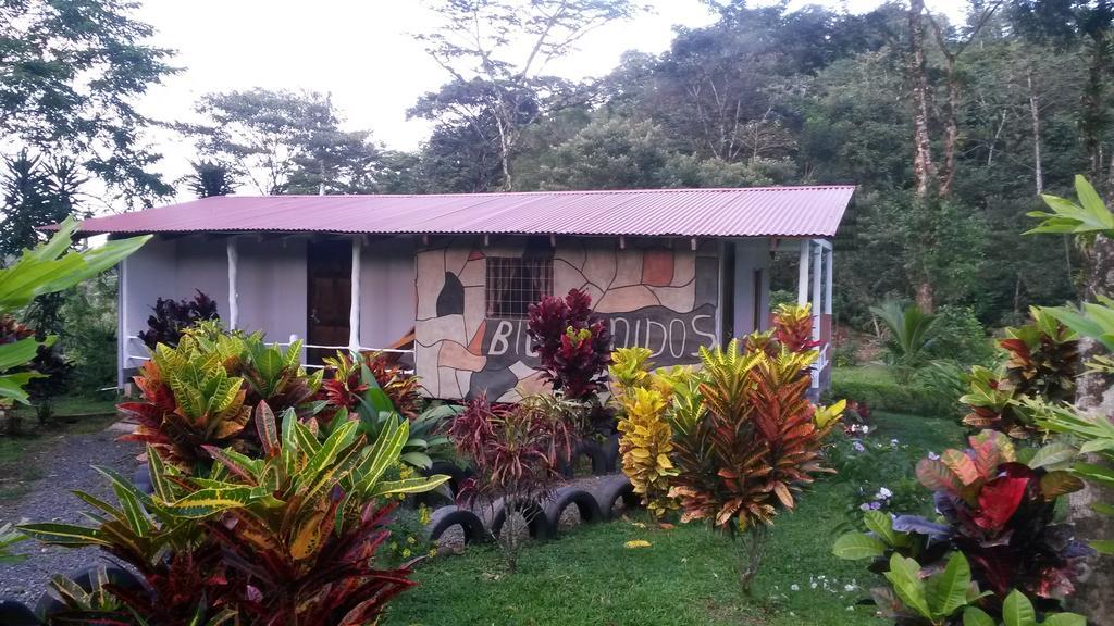 Nacientes Lodge Bijagua Extérieur photo
